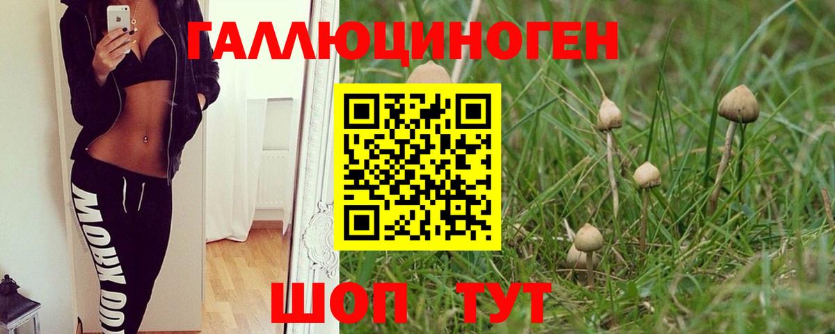 Галлюциногенные грибы Psilocybine cubensis  Псилоцибиновые грибы Psilocybine cubensis  Керчь  Вход с VPN 